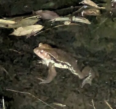 PXL_20250302_103111544