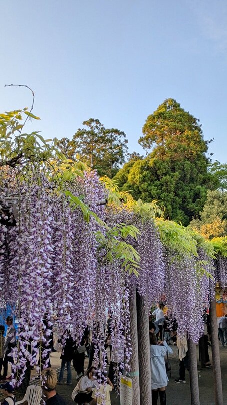 PXL_20250426_092905974~2