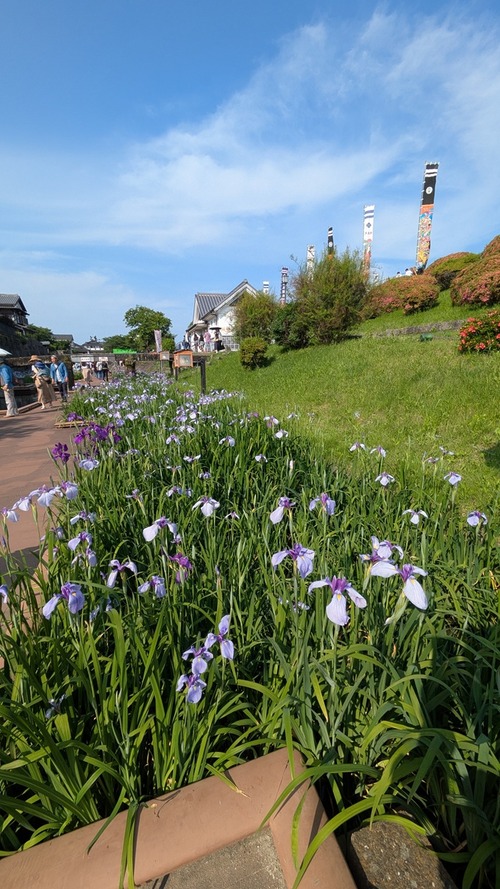 PXL_20250531_070339359