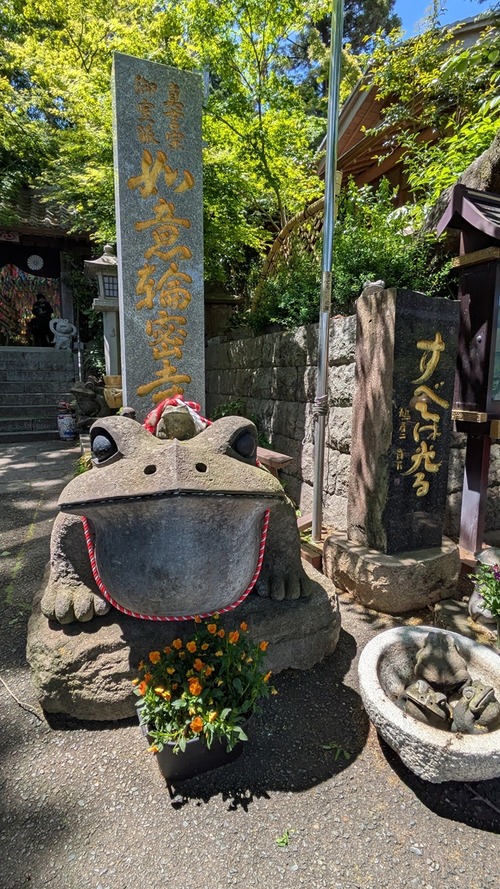 PXL_20250504_041143891