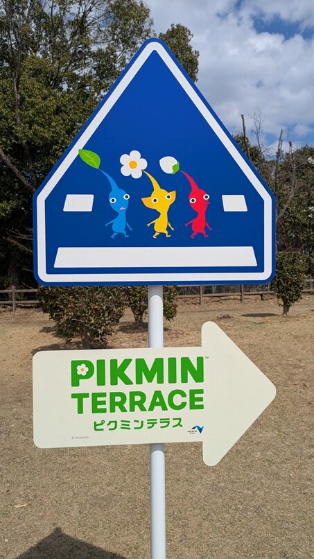 PXL_20250402_044609928