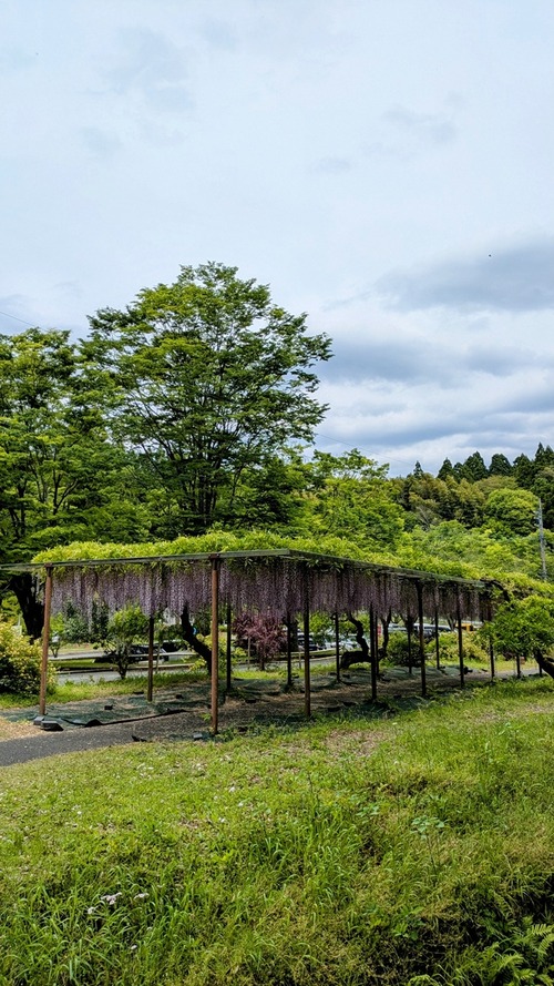 PXL_20250501_030912366~2