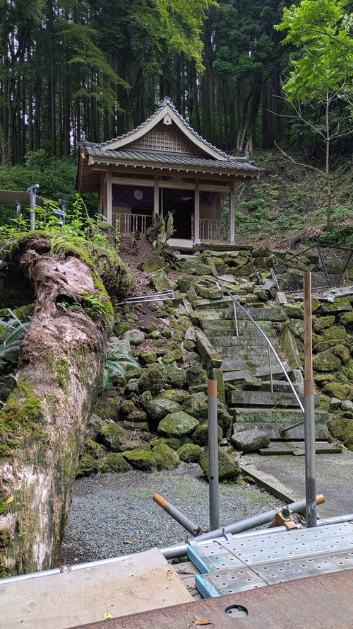 PXL_20250518_062036406