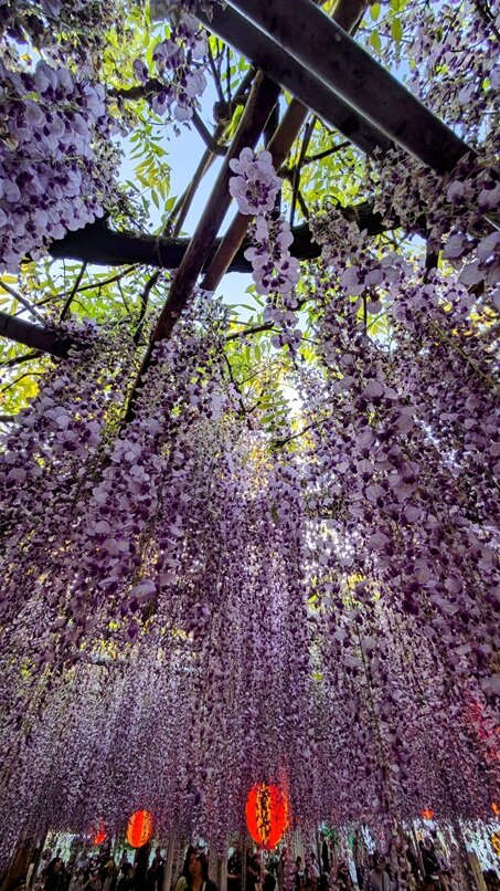 PXL_20250426_092211933~2