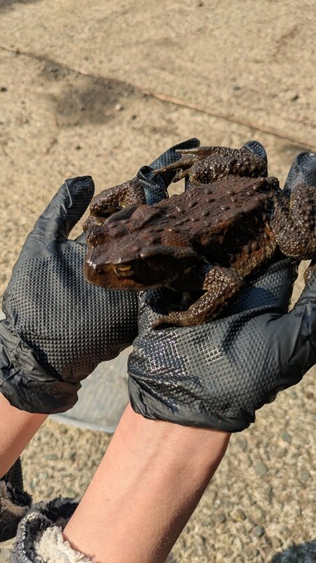 PXL_20250309_053451044