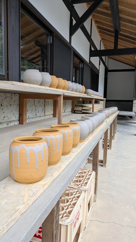 PXL_20250420_034748022