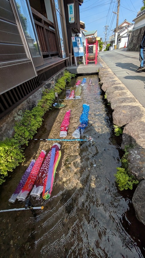 PXL_20250503_064840496