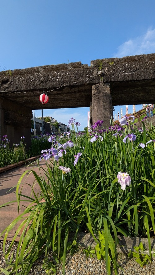 PXL_20250531_070241907