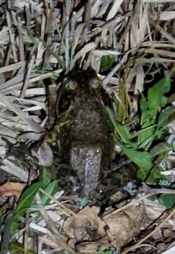 PXL_20250302_101729912