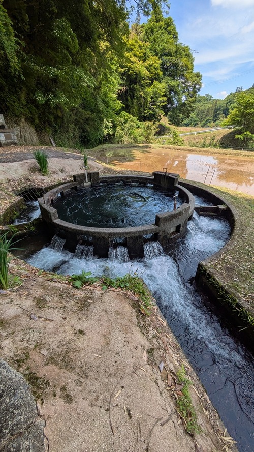 PXL_20250527_041321345