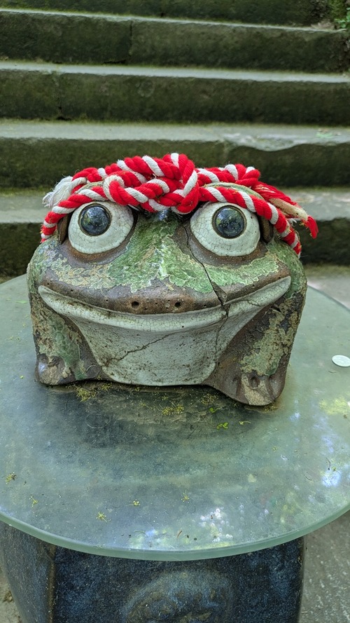 PXL_20250504_041723748