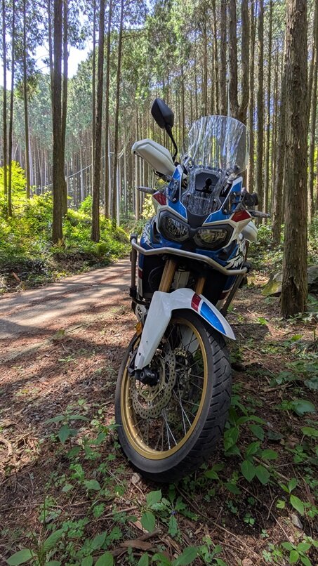 PXL_20250427_035434539