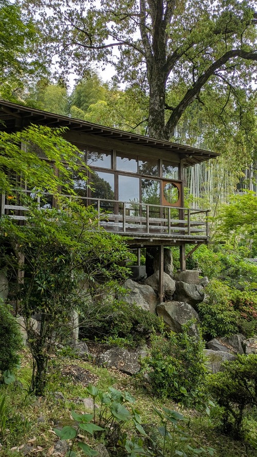 PXL_20250501_013623806