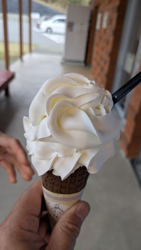 PXL_20250412_075406479