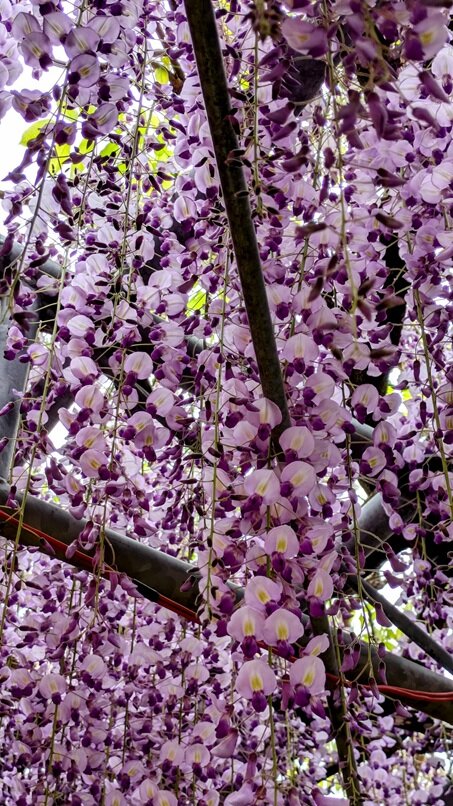 PXL_20250422_011102194~2