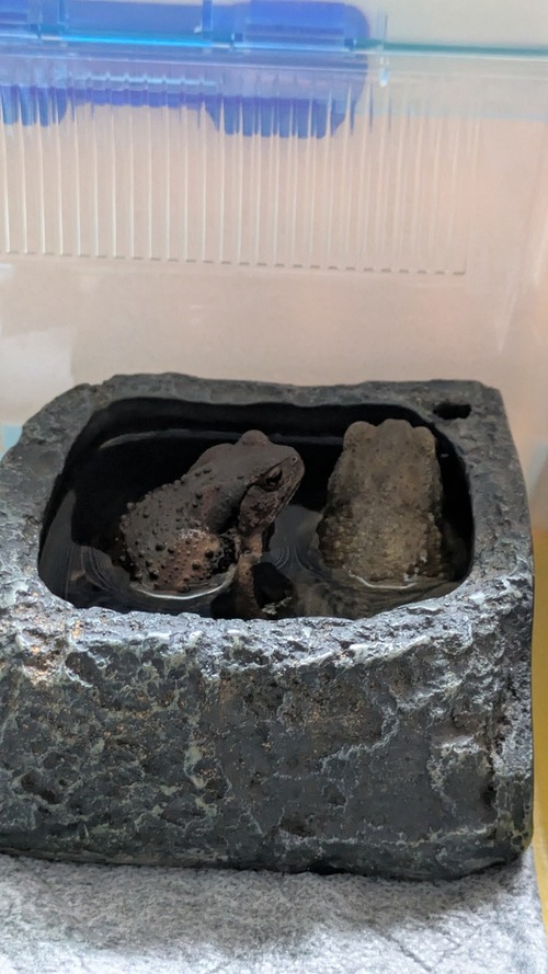 PXL_20250521_011138122