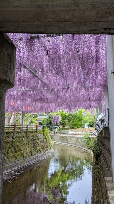 PXL_20250422_012136285