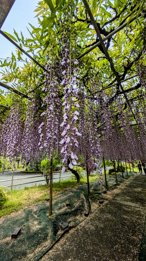 PXL_20250501_030939017~2