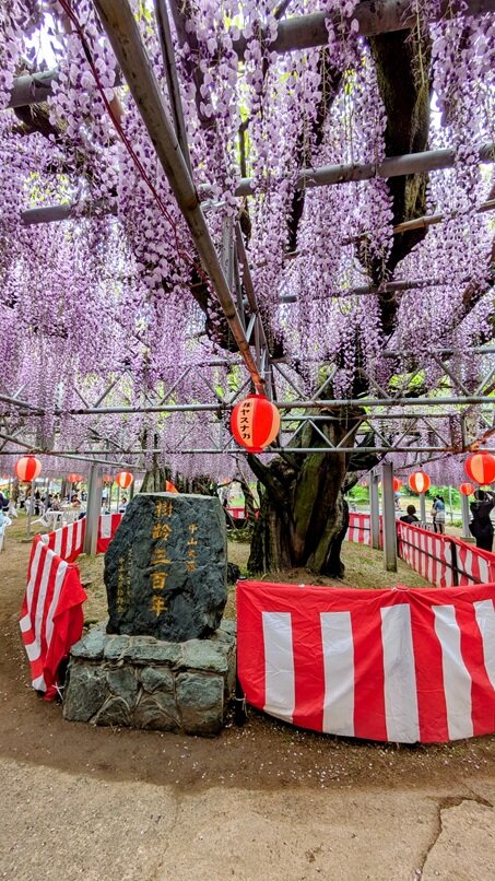 PXL_20250422_011430114~2