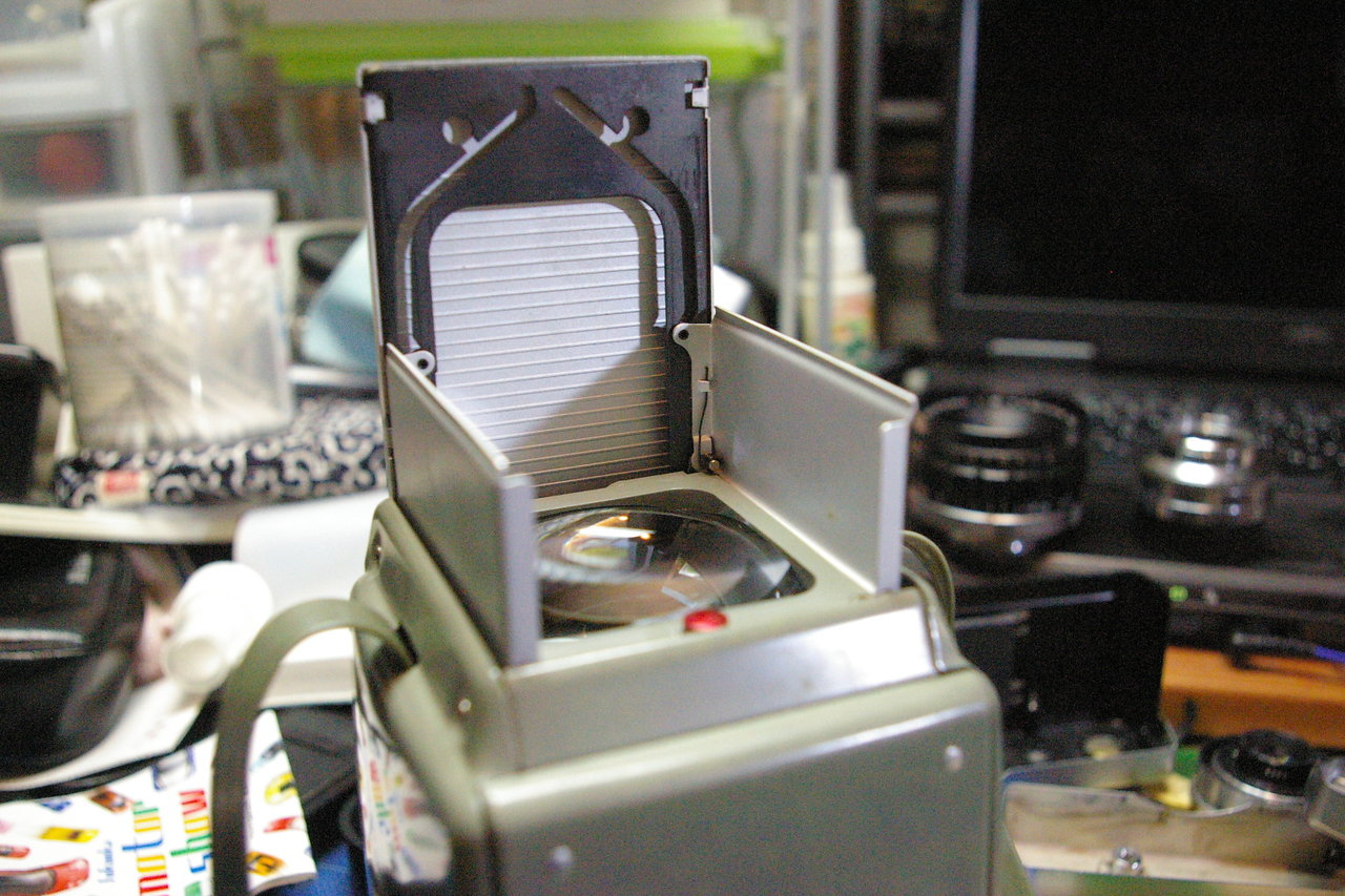 アンスコフレックスⅡ 新入りのお気に入り : カメラと写真が大好きな