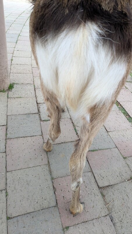 PXL_20250401_061638640