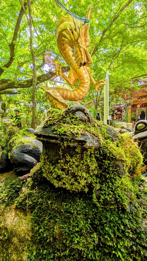 PXL_20250504_043525276~2