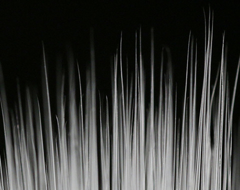 2014120807