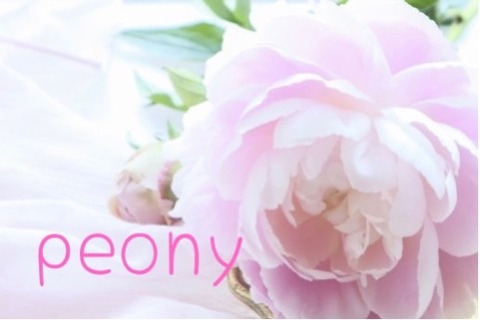 ♡peony芍薬について・・・初めまして、さつきです♡