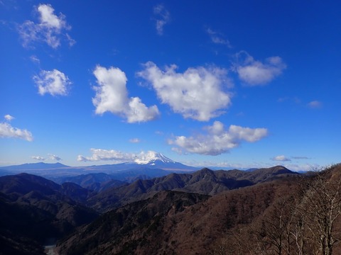 P1040305