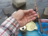20180503_144022