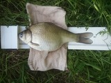 20180505_172806