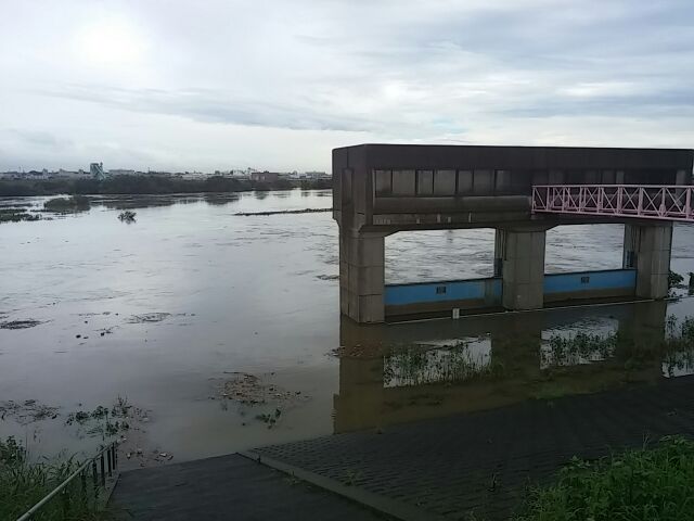 江戸川増水レポート 台風18号編 2015年度 飲ん兵衛オヤジの独りごと 江戸川増水レポート 台風18号編 2015年度 飲ん兵衛オヤジの独りごと