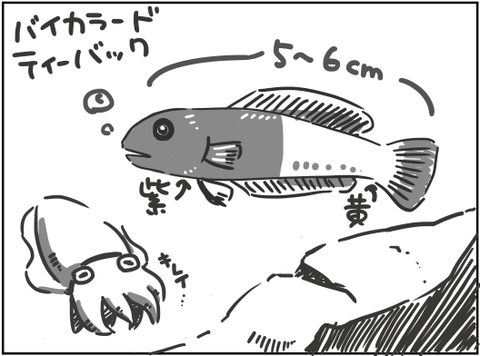 バイカラードティーバック