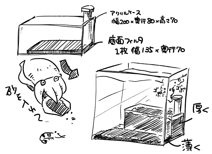 台湾式底面濾過を試す こぶしめのアクアリウム雑記