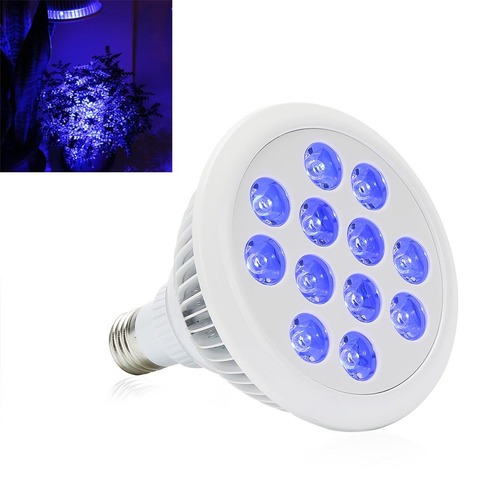 617enVeuKKL._SL1000_