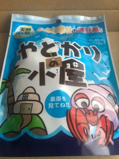 殻なしヤドカリの引っ越し計画 こぶしめのアクアリウム雑記