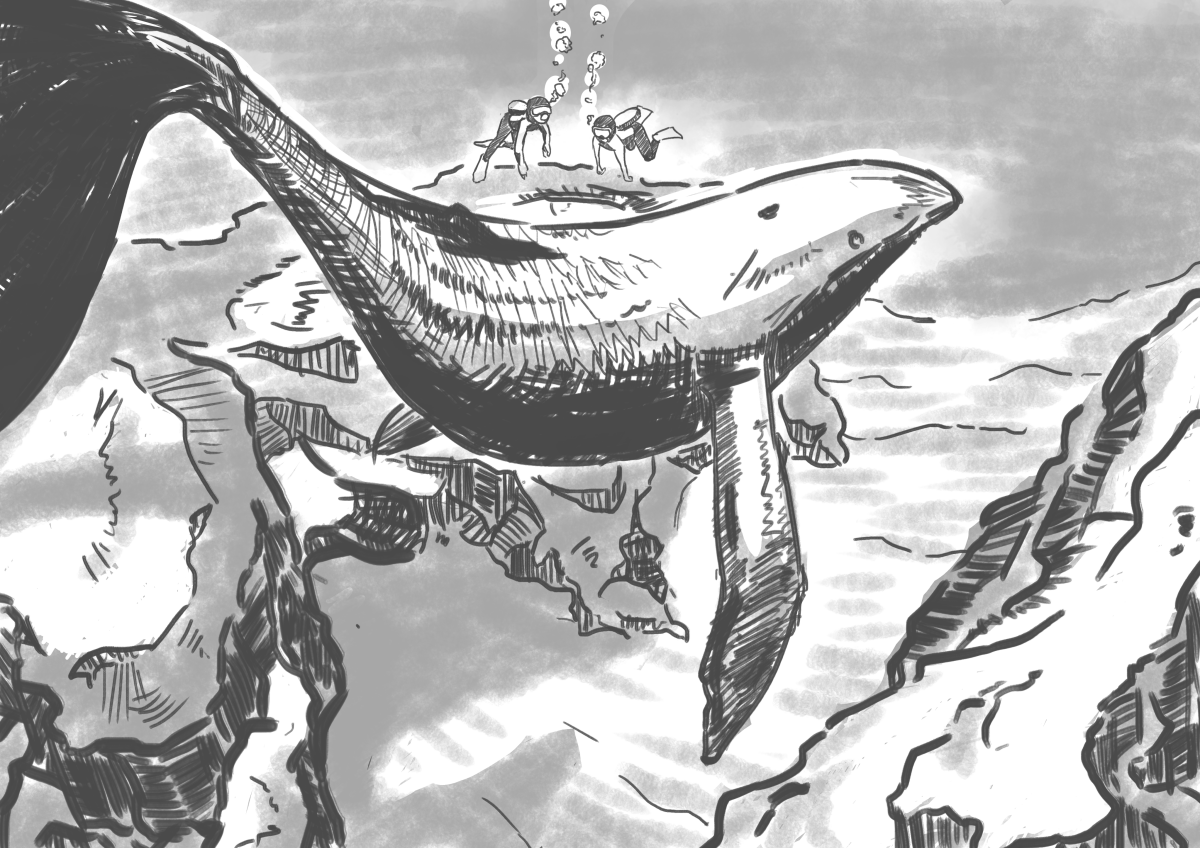 淡水熱が再燃してレッチェリ水槽立ち上げ こぶしめのアクアリウム雑記 淡水熱が再燃してレッチェリ水槽立ち上げ こぶしめのアクアリウム雑記