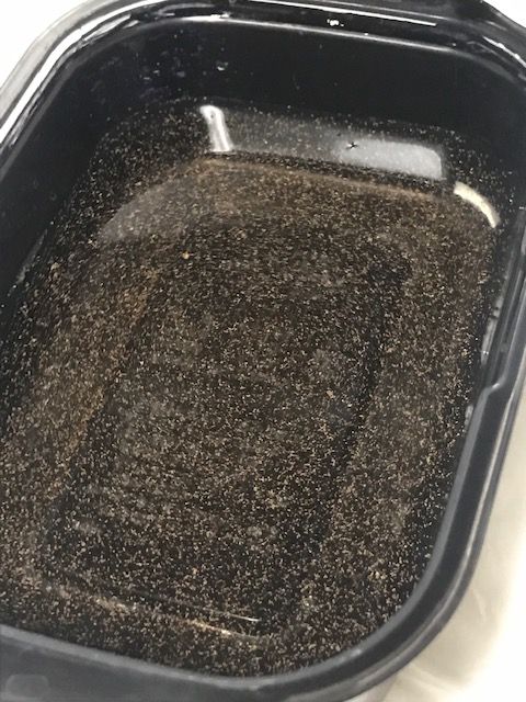ブラインシュリンプを取り出しやすい容器を考える こぶしめのアクアリウム雑記 ブラインシュリンプを取り出しやすい容器を考える こぶしめのアクアリウム雑記