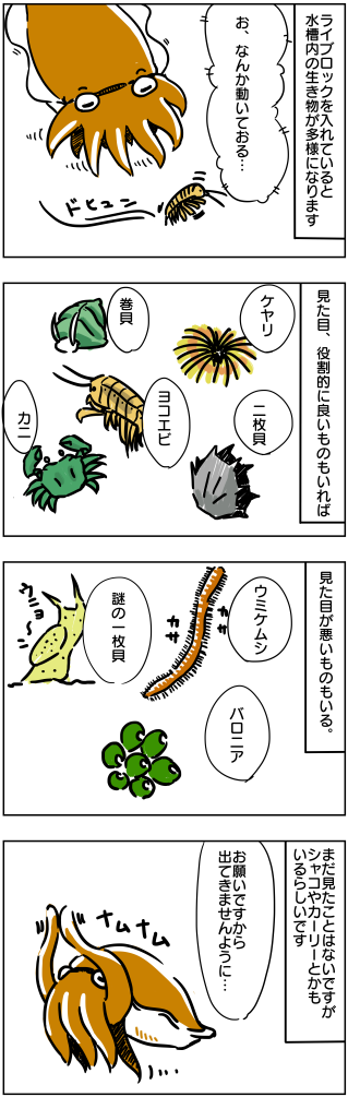 多様