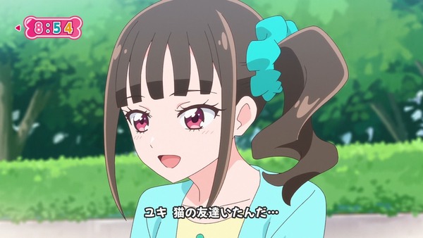 『わんだふるぷりきゅあ! 』第34話…猫集会初参加! ユキのやりたかったこと!