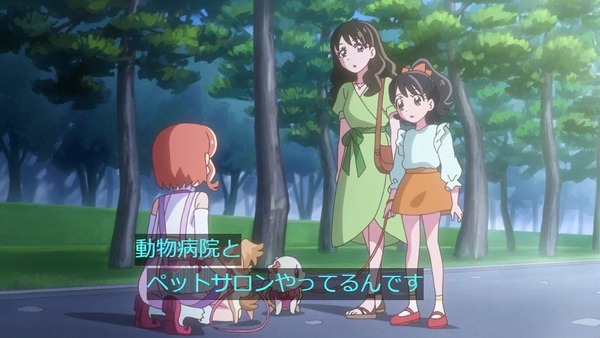 『プリキュアシリーズ』のプリキュア以外の女性キャラ