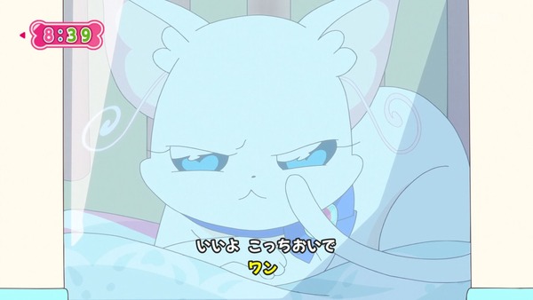 『わんだふるぷりきゅあ！ 』第14話…ユキの病気とまゆのはじめてのお泊り