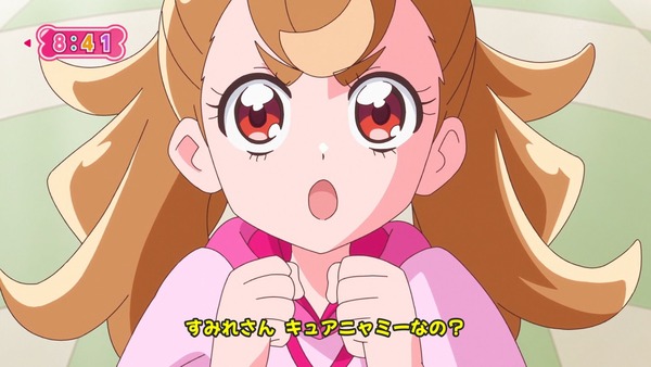 『わんだふるぷりきゅあ! 』第13話…犬組トリオがトロピカってる~!? ニャミーとまゆちゃんは急接近!