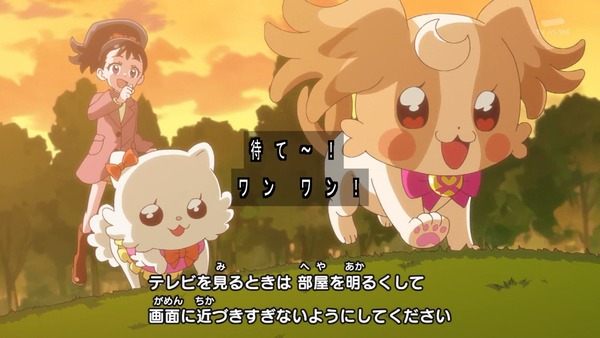 『わんだふるぷりきゅあ! 』第45話…世界中の動物と友達に! トラメとの約束
