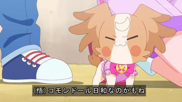 『わんだふるぷりきゅあ! 』第13話…犬組トリオがトロピカってる~!? ニャミーとまゆちゃんは急接近!