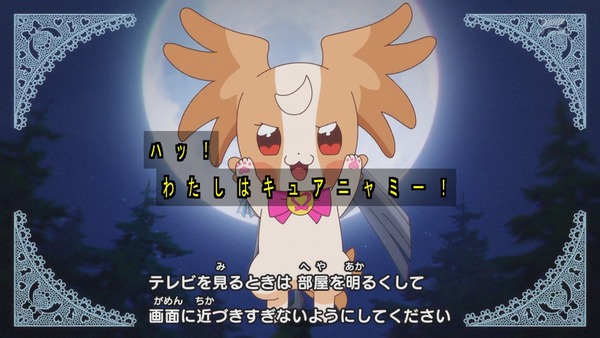 『わんだふるぷりきゅあ! 』第13話…犬組トリオがトロピカってる~!? ニャミーとまゆちゃんは急接近!