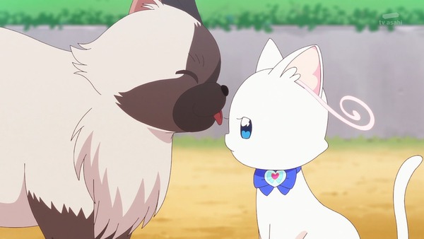 『わんだふるぷりきゅあ！ 』第34話…猫集会初参加！ ユキのやりたかったこと！