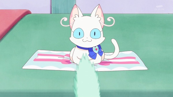『わんだふるぷりきゅあ! 』第34話…猫集会初参加! ユキのやりたかったこと!