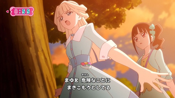 『わんだふるぷりきゅあ！ 』第17話…私があなたを守る！ キュアニュミー初変身披露回！