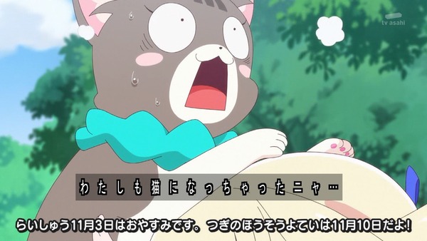 『わんだふるぷりきゅあ! 』第39話…アニマルタウンは楽しいハロウィン! こむぎとガオウのであい!